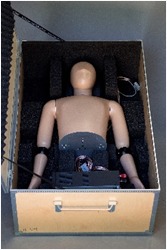 bodypart manikin 3